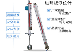 真空磁翻板液位計